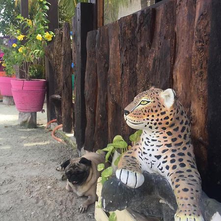 Hotel Hacienda La Catrina Isla Holbox Ngoại thất bức ảnh