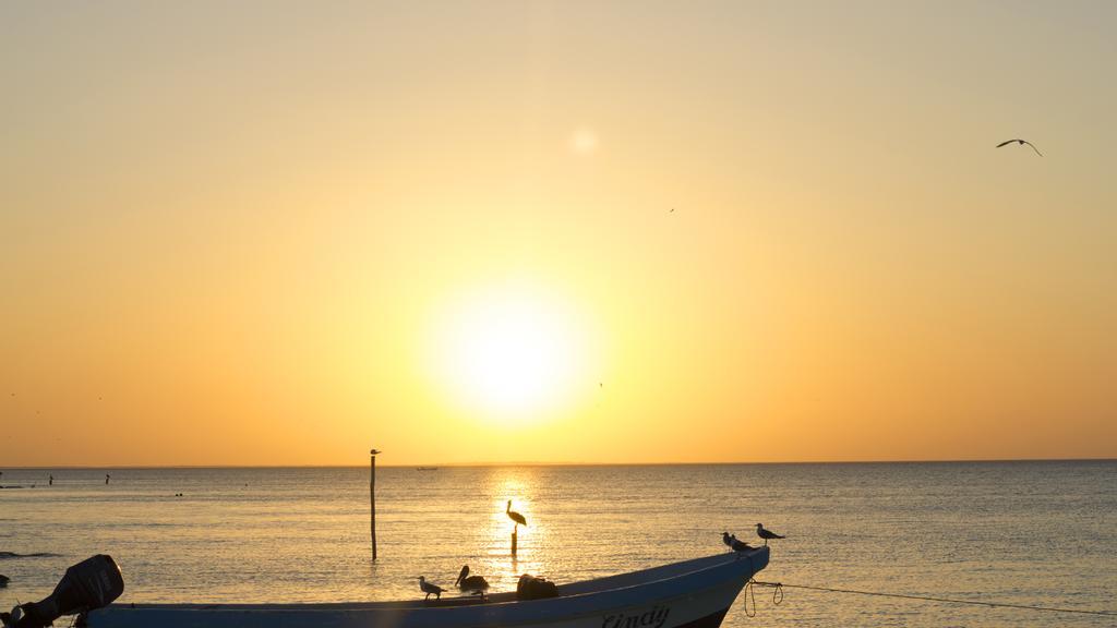 Hotel Hacienda La Catrina Isla Holbox Ngoại thất bức ảnh
