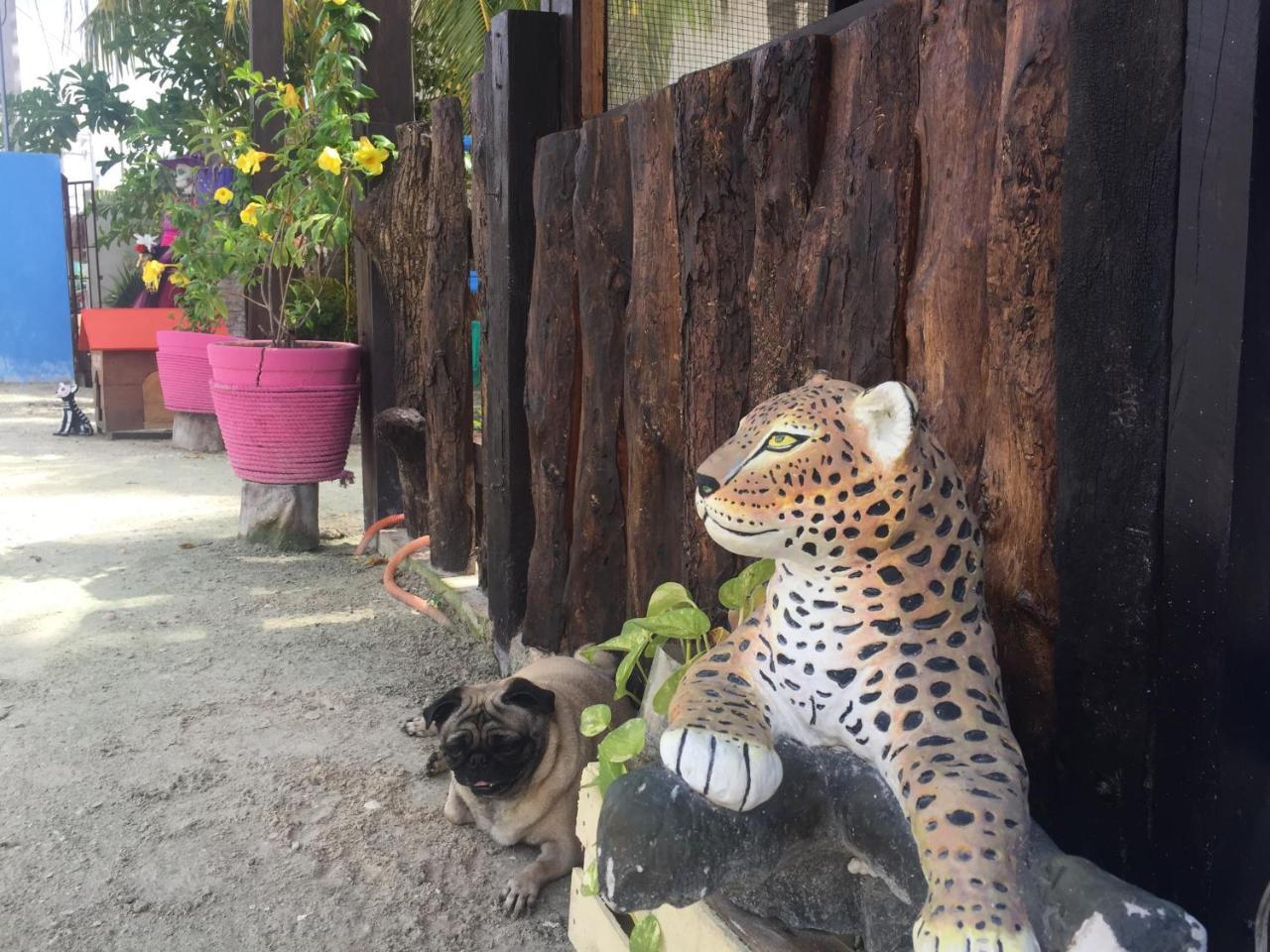 Hotel Hacienda La Catrina Isla Holbox Ngoại thất bức ảnh